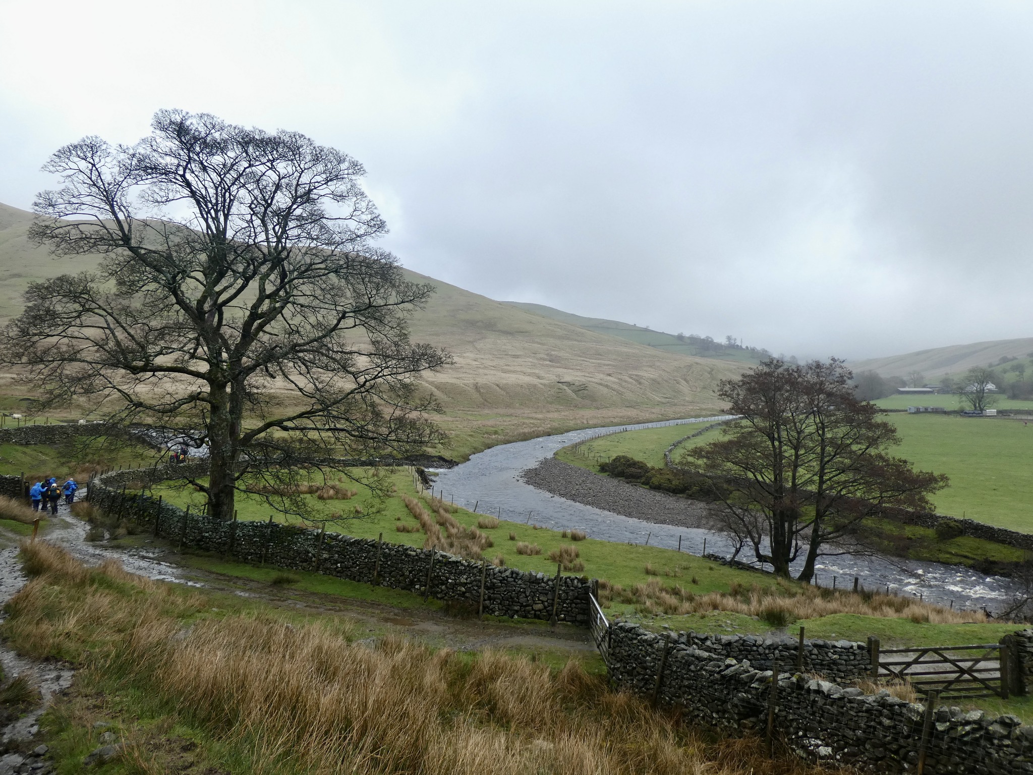 Sedbergh - Claire Cox
